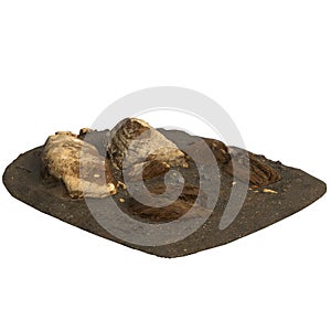 3d illustration of rocks on sand shelf isolated on white background