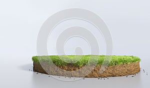 3D Illustration round soil ground cross section with earth land and green grass