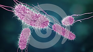 3D illustration of Salmonella Bacteria for medicine concept.