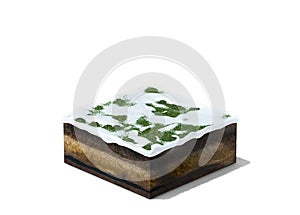 3d illustration of section of winter land with grass under snow