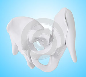 3d illustration of the skeletal hip