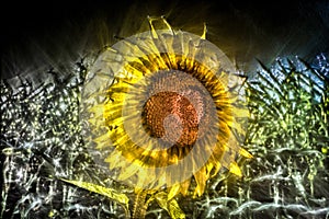 3D-Illustration of spring flowers with a high energy kirlian field glowing in different colors