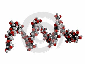 3d illustration of starch, helical amylose biomolecule, organic polymer of glucose subunits