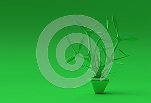 3D illustration of Tree in a pot isolated on Color background