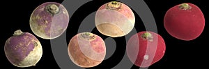 3d illustration of turnip, rutabaga isolated on black background