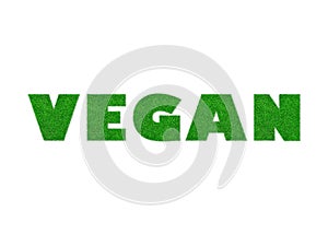 3d Illustration Vegan word made with green grass pattern. Concept message Ecologist Save the earth