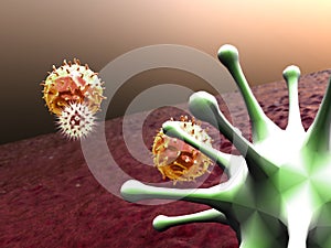 3D illustration of virus and Lymphocytes