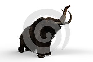 3D illustration of a Woolly Mammoth stretching and reaching up with trunk isolated on a white background