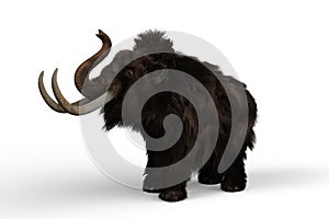 3D illustration of a Woolly Mammoth trumpeting, the extinct relative of the modern Elephant isolated on a white background