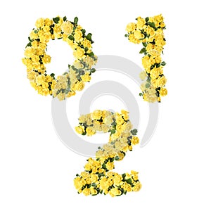 3D illustration of Yellow rose flowers alphabet - digits 0-2