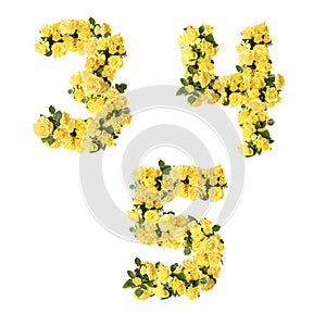 3D illustration of Yellow rose flowers alphabet - digits 3-5