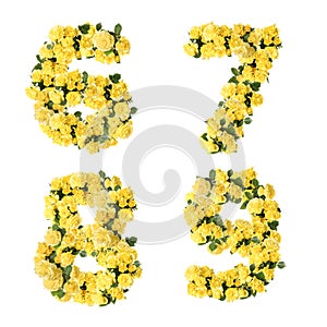 3D illustration of Yellow rose flowers alphabet - digits 6-9