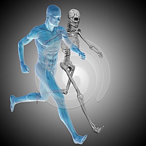 3D illustrstion of a human man with bones for anatomy, medicine or health, gray background, made of a skeleton