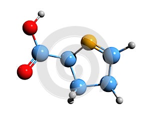 3D image of 1-Pyrroline-5-carboxylic acid skeletal formula