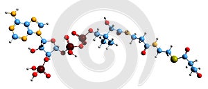 3D image of Acetoacetyl-CoA skeletal formula