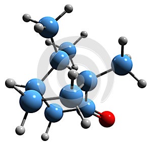 3D image of Camphor skeletal formula