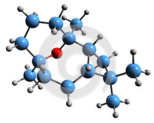 3D image of Caryophyllene oxide skeletal formula
