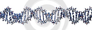 3D image of DNA macromolecule skeletal formula