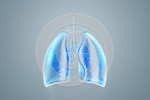 3D image of human lungs filled with fluid, Copy Space, 3D illustration, 3D renderer