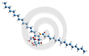 3D image of palmitoyl-galactocerebroside skeletal formula