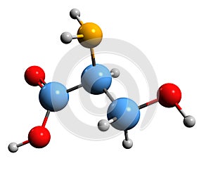 3D image of Serine skeletal formula