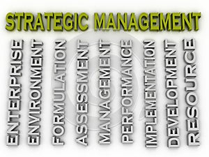 3d image Strategic management issues concept word cloud background