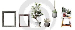 3d images of various types of plants in plant pots as a set.