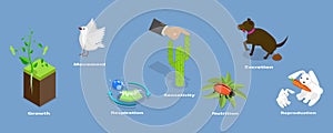 3D Isometric Flat Vector Conceptual Illustration of Characteristics Of Living Things