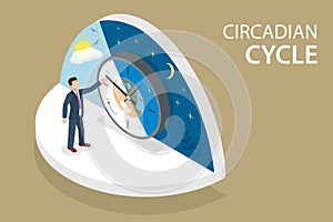 3D Isometric Flat Vector Conceptual Illustration of Circadian Cycle