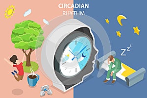 3D Isometric Flat Vector Conceptual Illustration of Circadian Rhythm