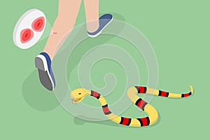 3D Isometric Flat Vector Conceptual Illustration of Poisonous Snake Bit