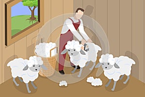 3D Isometric Flat Vector Conceptual Illustration of Shearing Sheep