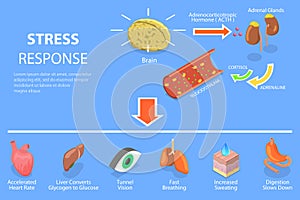 3D Isometric Flat Vector Conceptual Illustration of Stress Response Process