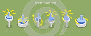 3D Isometric Flat Vector Conceptual Illustration of Types Of Synovial Joints