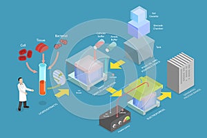 3D Isometric Flat Vector Conceptual Illustration of Western Blot