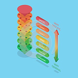 3D Isometric Flat Vector Illustration of Classification System