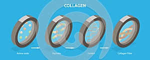 3D Isometric Flat Vector Illustration of Collagen