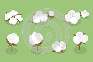 3D Isometric Flat Vector Illustration of Cotton Flower Collection