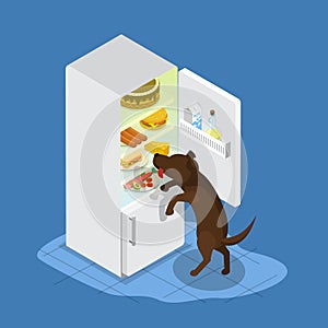 3D Isometric Flat Vector Illustration of Hungry Domestic Animal