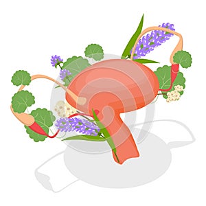 3D Isometric Flat Vector Illustration of Menstruation. Item 5