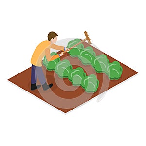 3D Isometric Flat Vector Set of Farmers. Item 3