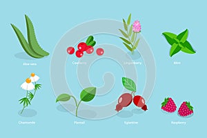 3D Isometric Flat Vector Set of Medical Herbs And Berries