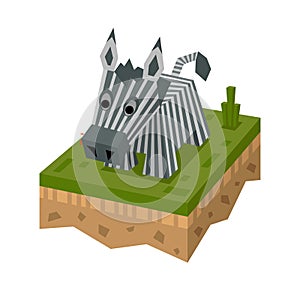 3D isometric zebra