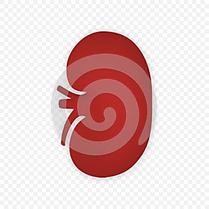 3d Kidney human renal vector icon isolated