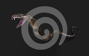 3d King Cobra The World\'s Longest Venomous Snake, King Cobra Snake.