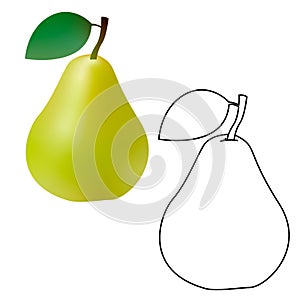 3d and line realistic green pear isolated on white background. Vector illustration