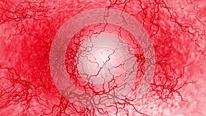 3D loop animation of human blood vessel. Red capillaries. Eye blood on white background. Anatomical background. Medical concept.