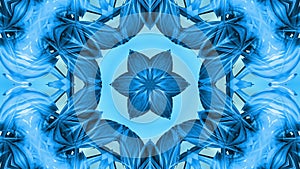 3D looped animation, an abstract background with blue ribbons twisting and forming stars or snowflakes as with a