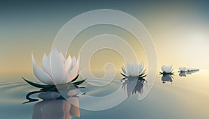 3d lotus flower on calm ripple water