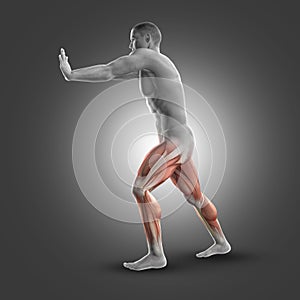 3D male figure in standing gastroc-nemius stretch